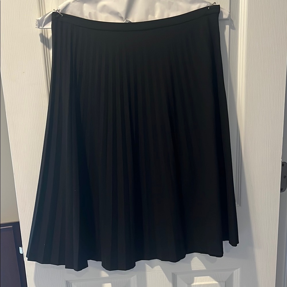 Elegant Black Pleated Skirt